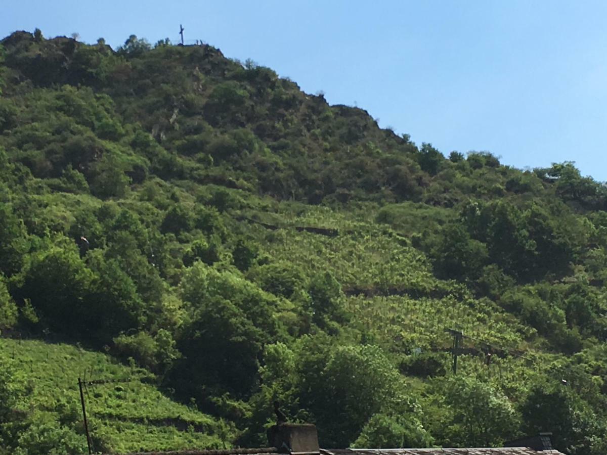 Haus Dana Apartment Cochem Ngoại thất bức ảnh